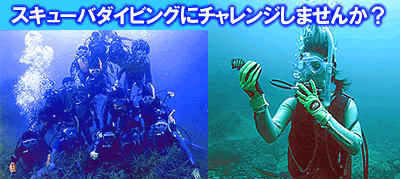 �X�L���[�o�_�C�r���O�Ƀ`�������W���܂��񂩁H