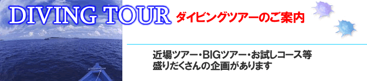 �X�L���[�o�_�C�r���O�c�A�[�̂��ē�