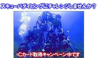 �X�L���[�o�_�C�r���O